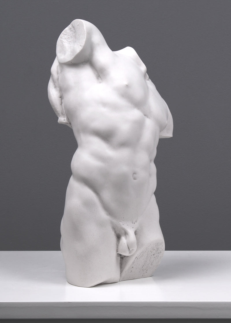 Adonisz szobor - A férfi felsőtest tanulmánya